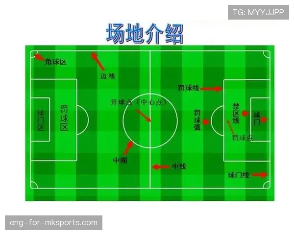 罕见不可抗力中断如何影响足球比赛判罚规则解析